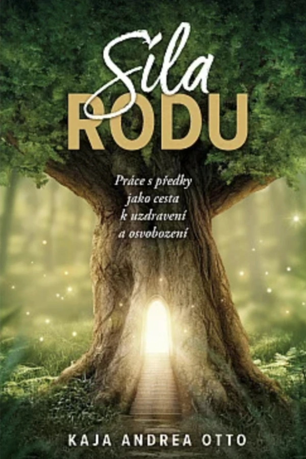 spiritual feminist cover sila-rodu-buch